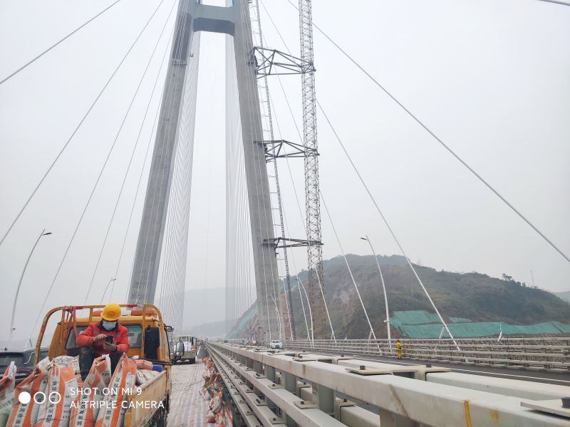 湖北路橋集團(tuán)-湖北武穴長江大橋(圖1)